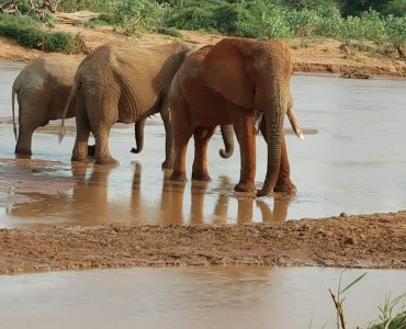 20190708_163918_Original