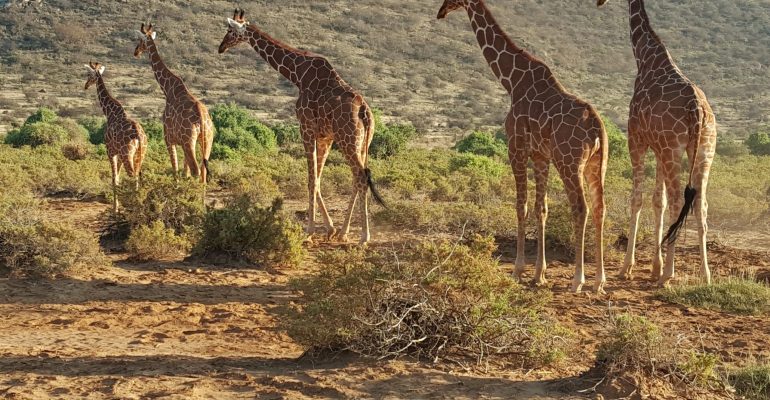 20190709_073628_Original