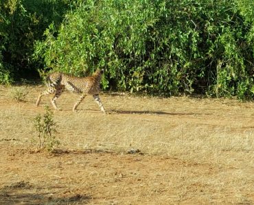 20190709_075814_Original