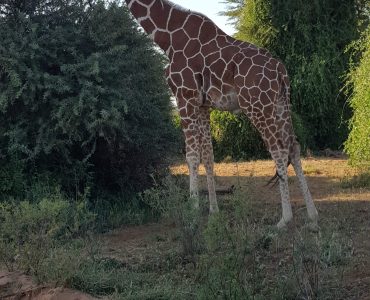 20190709_081054_Original